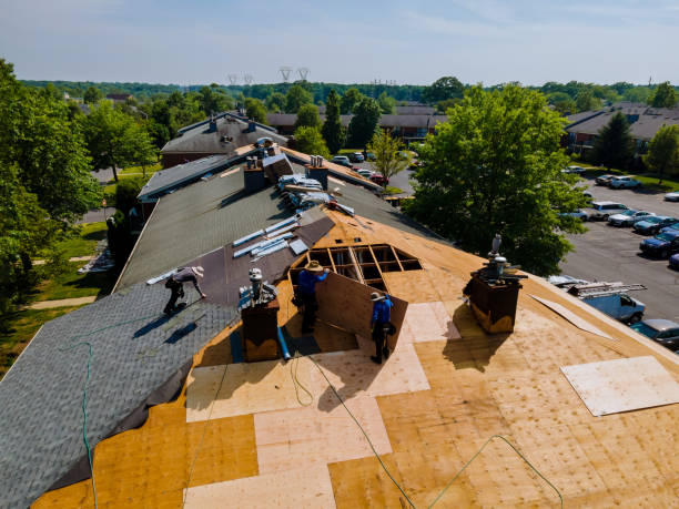 Quick and Trustworthy Emergency Roof Repair Services in Faribault, MN