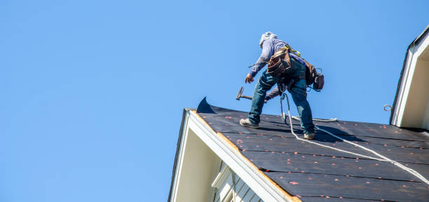 Best Commercial Roofing Services  in Faribault, MN
